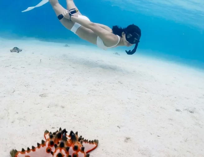 REEF ECO-SYSTEM image (5)-comp